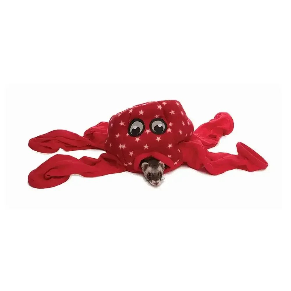 Marshall® Octo - Play for Small Animals - Talis Us