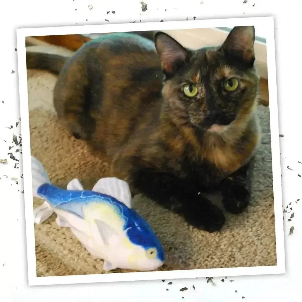 Meowijuana Get Hooked Kahuna Tuna Cat Toy - Talis Us