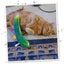Meowijuana Get Kickin Spicy Pickle Kicker Cat Toy - Talis Us