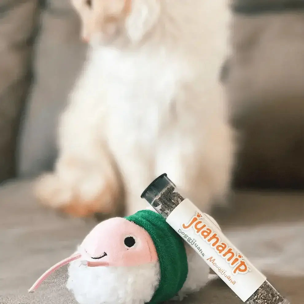 Meowijuana Get Wrapped Sushi Roll Cat Toy - Talis Us