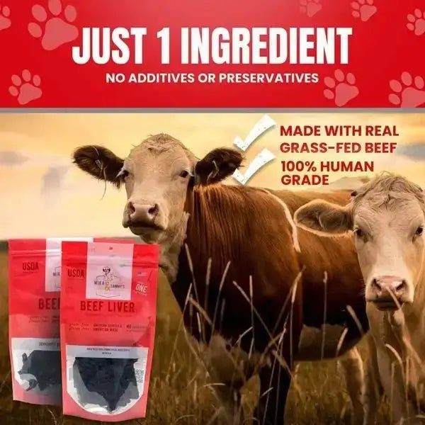 Mika & Sammy’s Beef Liver Dehydrated Dog Treats 5oz - Talis Us