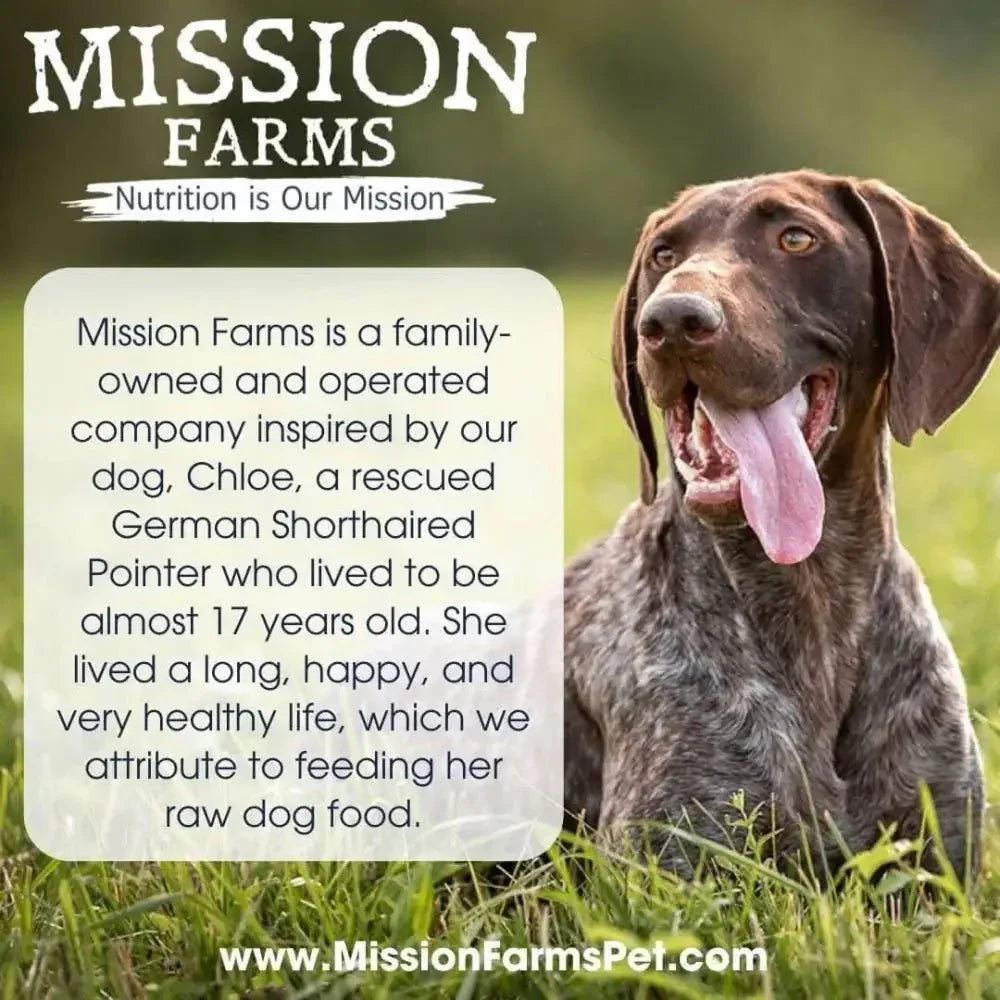 Mission Farms Bison Liver Freeze - Dried Dog Treats 3oz - Talis Us