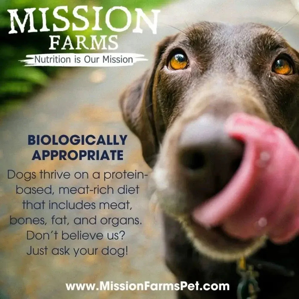 Mission Farms Bison Liver Freeze - Dried Dog Treats 3oz - Talis Us