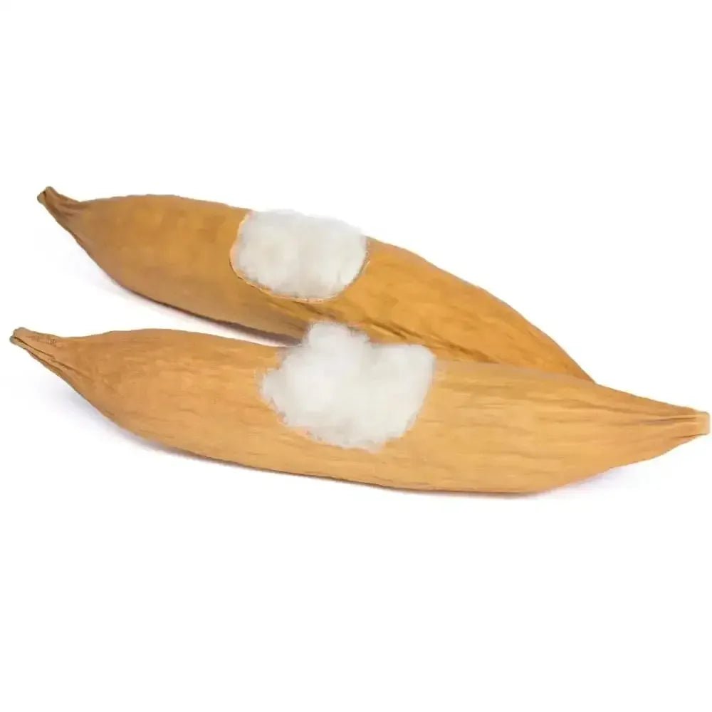 Mod Pods for Small Animals - Talis Us
