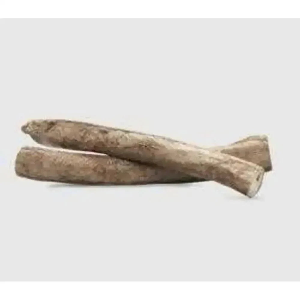 Two Momentum Carnivore Nutrition freeze-dried beef bully sticks, showing natural texture and raw protein dog chew detail.