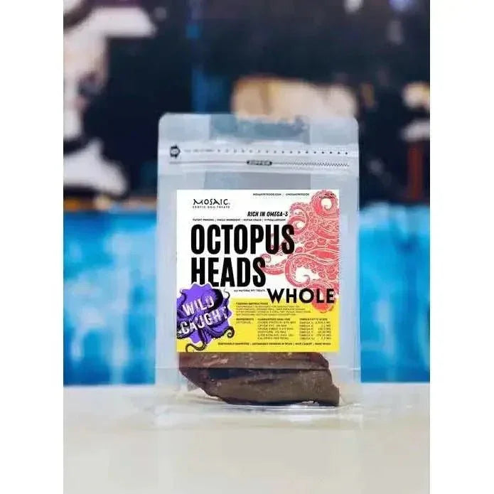 Mosaic Wild - Caught Xl Octopus Heads Dog Treats 4.5 oz - Talis Us