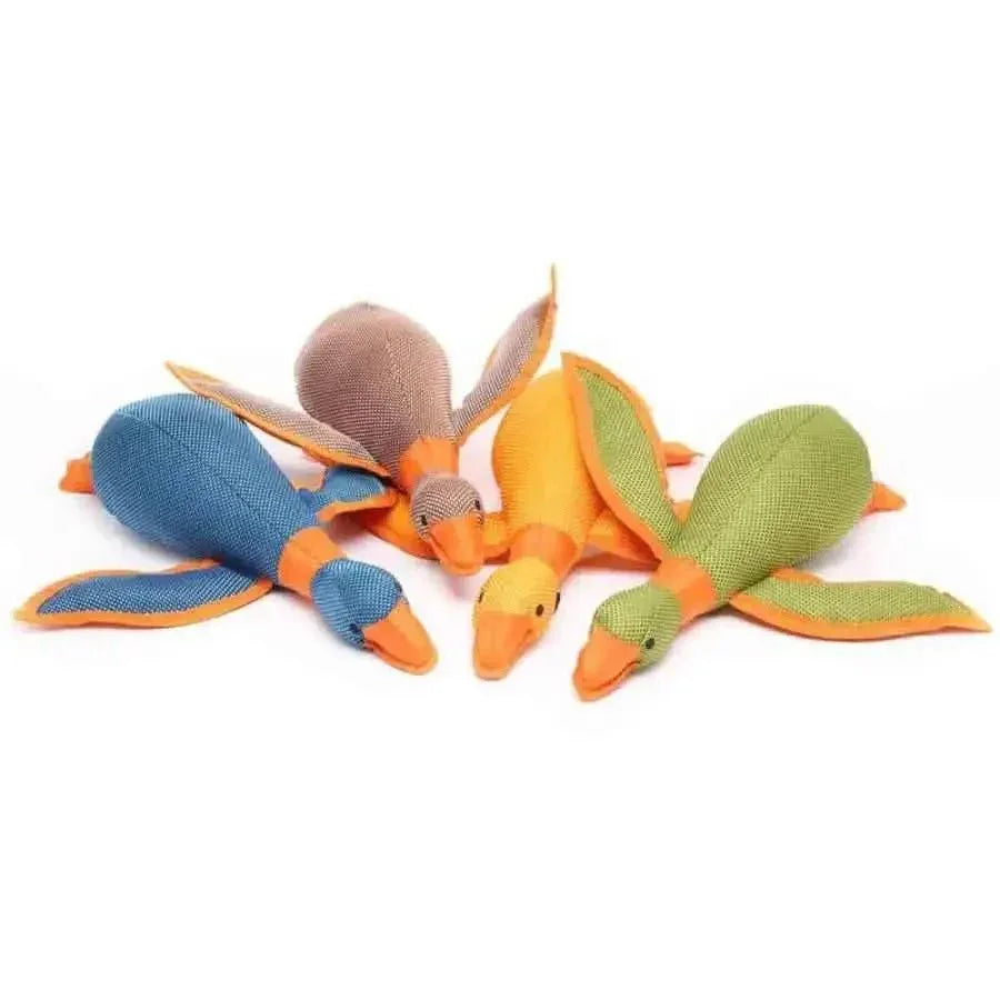 Multipet Dazzler Durable Plush Dog Toy - Talis Us