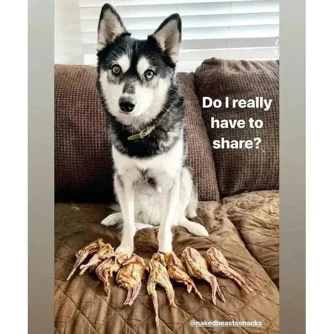 Naked Beasts Bone - in Whole Quails Exotic Protein Dog Treats - Talis Us