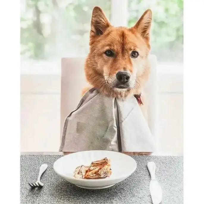 Naked Beasts Bone - in Whole Quails Exotic Protein Dog Treats - Talis Us