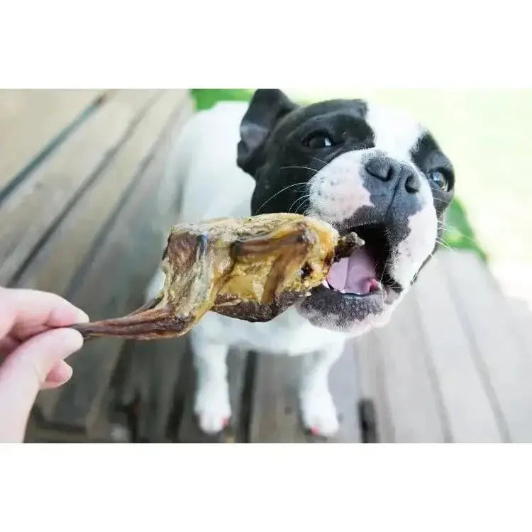 Naked Beasts Bone - in Whole Quails Exotic Protein Dog Treats - Talis Us