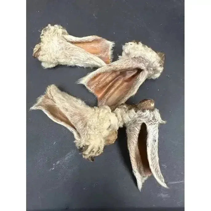 Naked Beasts Lamb Ears All Natural Dog Treats - Talis Us
