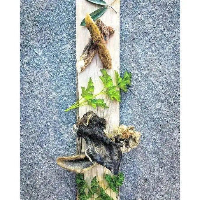 Naked Beasts Lamb Ears All Natural Dog Treats - Talis Us