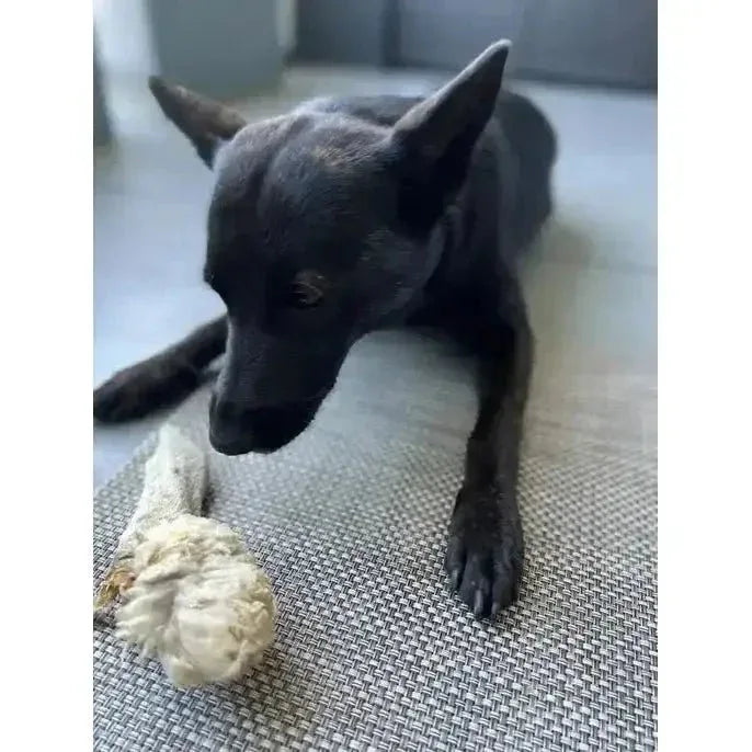 Naked Beasts Lamb Ears All Natural Dog Treats - Talis Us