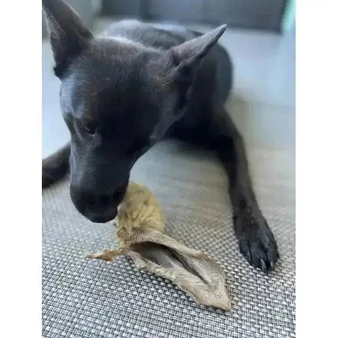 Naked Beasts Lamb Ears All Natural Dog Treats - Talis Us