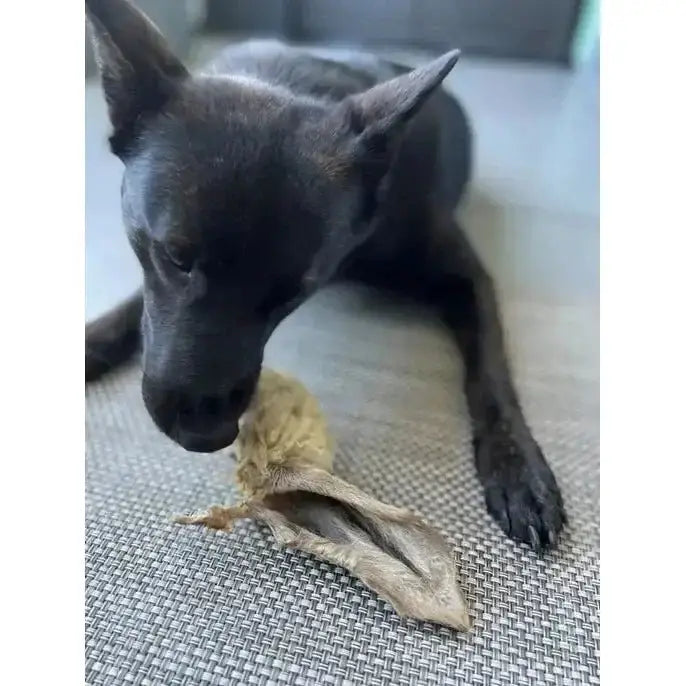 Naked Beasts Lamb Ears All Natural Dog Treats - Talis Us