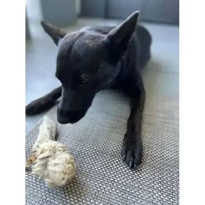 Naked Beasts Lamb Ears All Natural Dog Treats - Talis Us