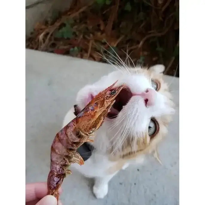 Naked Beasts Shrimp Head On All Natural Dog Treats - Talis Us