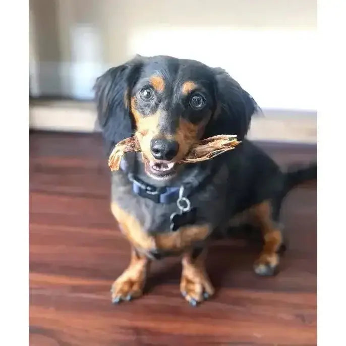 Naked Beasts Shrimp Head On All Natural Dog Treats - Talis Us