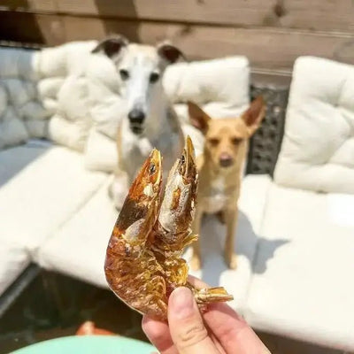 Naked Beasts Shrimp Head On All Natural Dog Treats - Talis Us