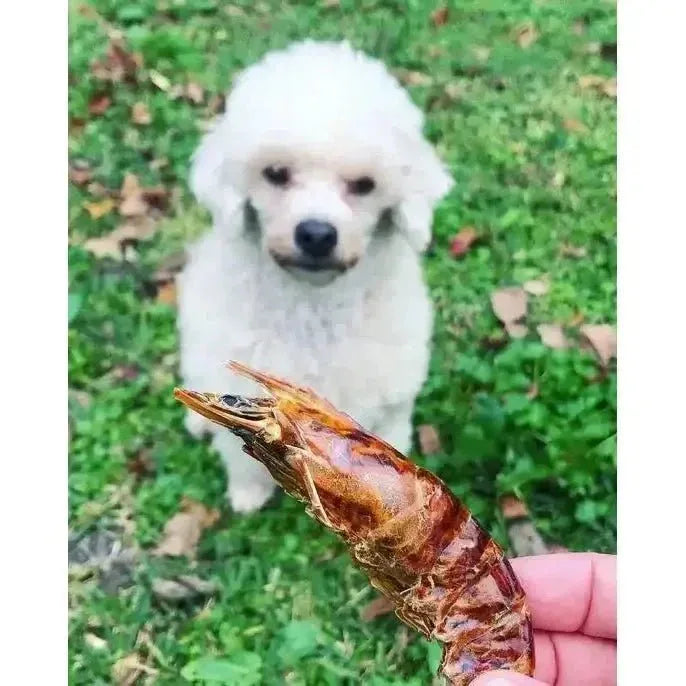 Naked Beasts Shrimp Head On All Natural Dog Treats - Talis Us