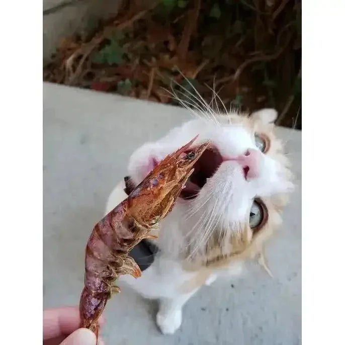 Naked Beasts Shrimp Head On All Natural Dog Treats - Talis Us
