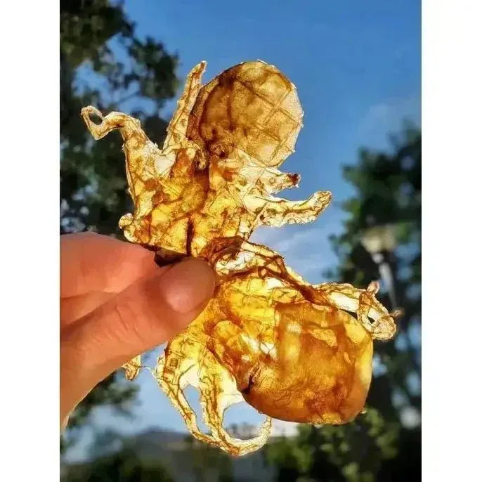 Naked Beasts Wild Caught Baby Octopus Exotic Protein Dog Treats - Talis Us