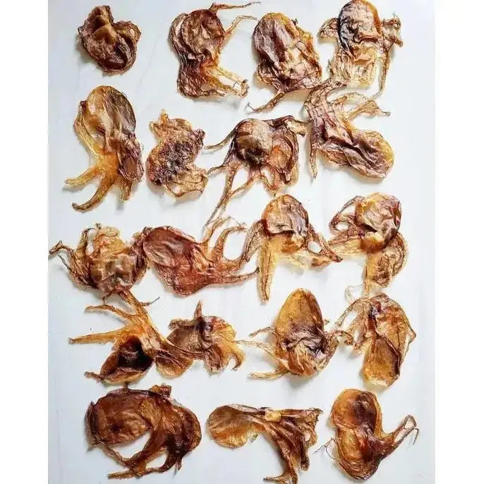 Naked Beasts Wild Caught Baby Octopus Exotic Protein Dog Treats - Talis Us
