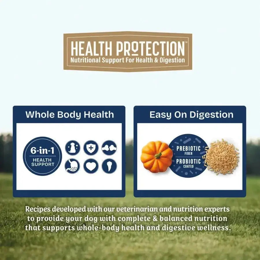 Natural Balance Health Protection Adult Salmon, Brown Rice & Pumpkin Dry Dog Food - Talis Us