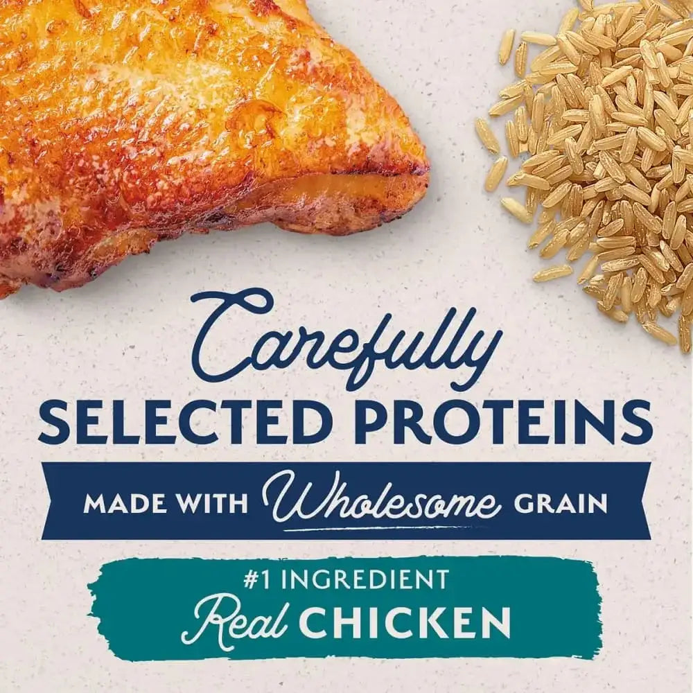 Natural Balance Pet Foods L.I.D Dry Dog Food Chicken & Brown Rice, Natural Balance