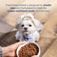 Natural Balance Pet Foods LID Chicken and Sweet Potato Small Breed Bite Dry Dog Food Natural Balance CPD
