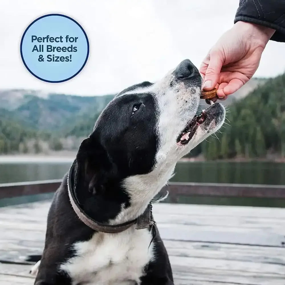 Natural Balance Pet Foods LID Mini Rewards Soft & Chewy Chicken Dog Treats 5.3 oz Natural Balance CPD