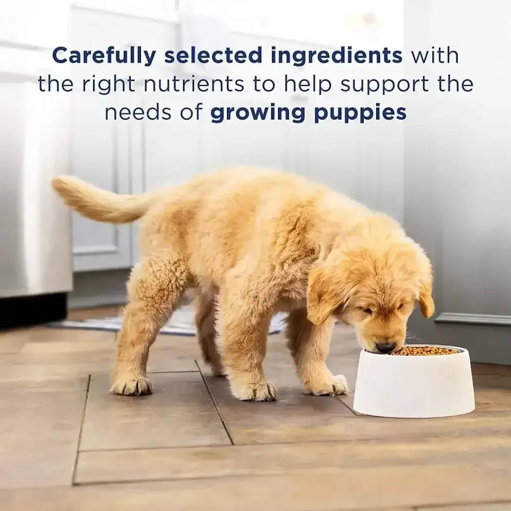 Natural Balance Pet Foods L.I.D Reserve Grain - Free Dry Dog Food Duck & Potato, 22 lb - Talis Us