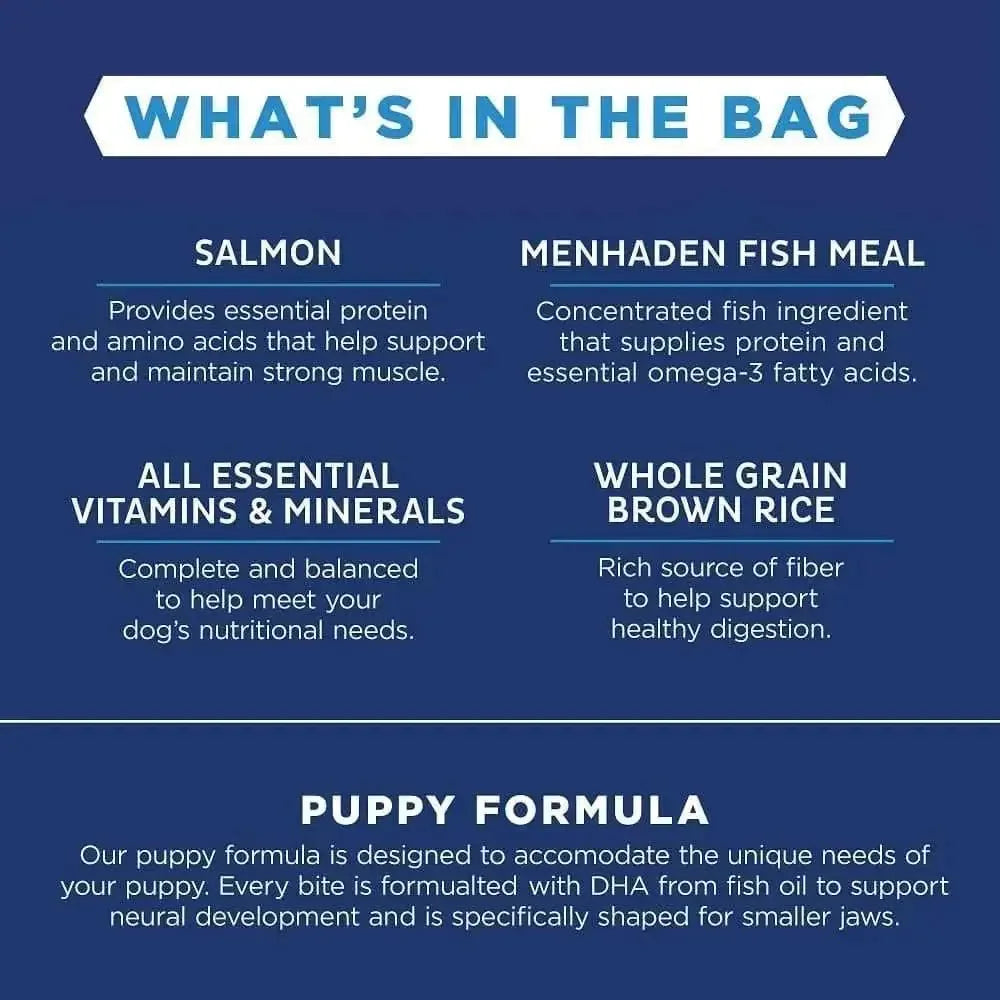 Natural Balance Pet Foods LID Salmon and Brown Rice Puppy Dry Dog Food Natural Balance CPD