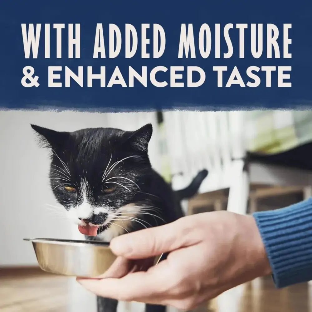 Natural Balance Pet Foods Limited Ingredient Soft Pate in Broth Wet Cat Food 10ea/2.6 oz - Talis Us