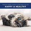 Natural Balance Pet Foods Original Ultra Premium Whole Body Health Dry Cat Food Natural Balance CPD