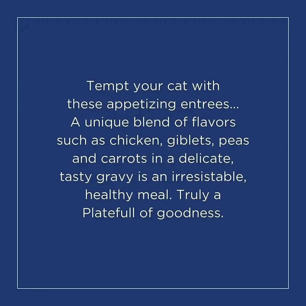 Natural Balance Pet Foods Platefulls Chicken & Pumpkin Formula in Gravy Cat Wet Food 3 oz, 24 pk Natural Balance CPD