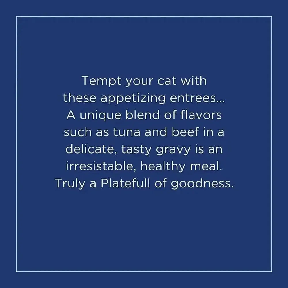 Natural Balance Pet Foods Platefulls Indoor Duck, Chicken & Pumpkin in Gravy Cat Wet Food 3 oz, 24 Natural Balance CPD