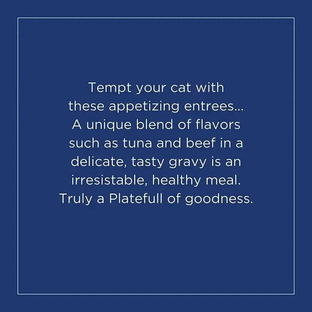 Natural Balance Pet Foods Platefulls Indoor Mackerel & Sardine Formula in Gravy Cat Wet Food 3 oz, Natural Balance CPD