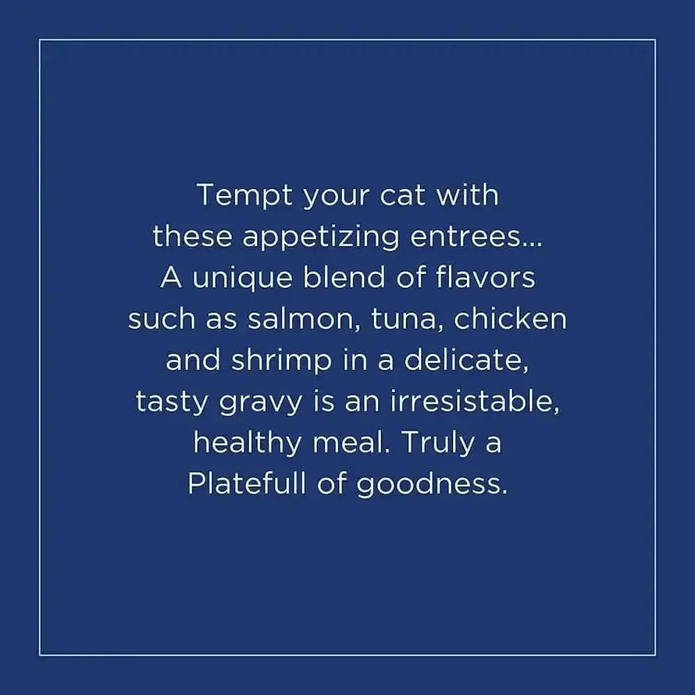 Natural Balance Pet Foods Platefulls Indoor Salmon Tuna Chicken & Shrimp in Gravy Cat Wet Food 3 oz, Natural Balance CPD