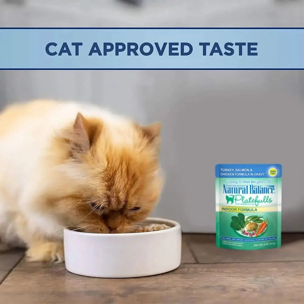 Natural Balance Pet Foods Platefulls Indoor Turkey Salmon & Chicken in Gravy Cat Wet Food 3 oz, 24 Natural Balance CPD