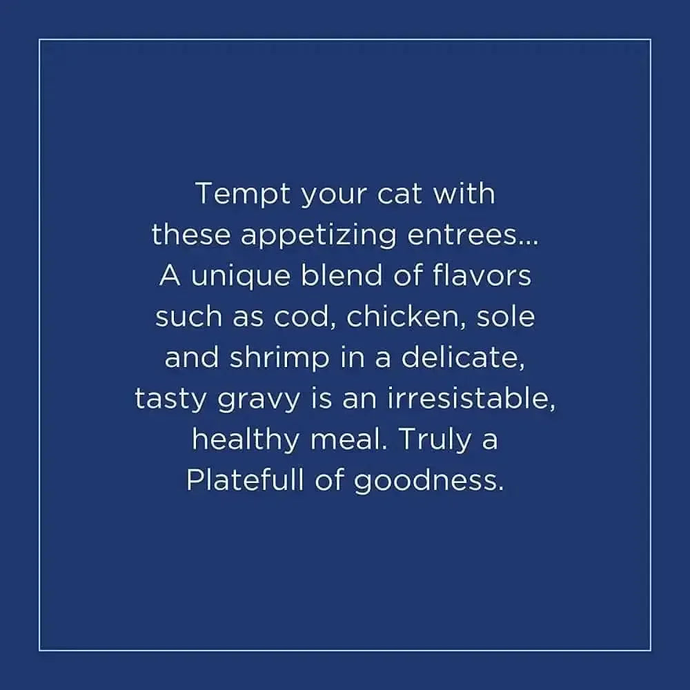 Natural Balance Pet Foods Platefulls Salmon, Tuna & Crab Formula in Gravy Cat Wet Food Natural Balance CPD