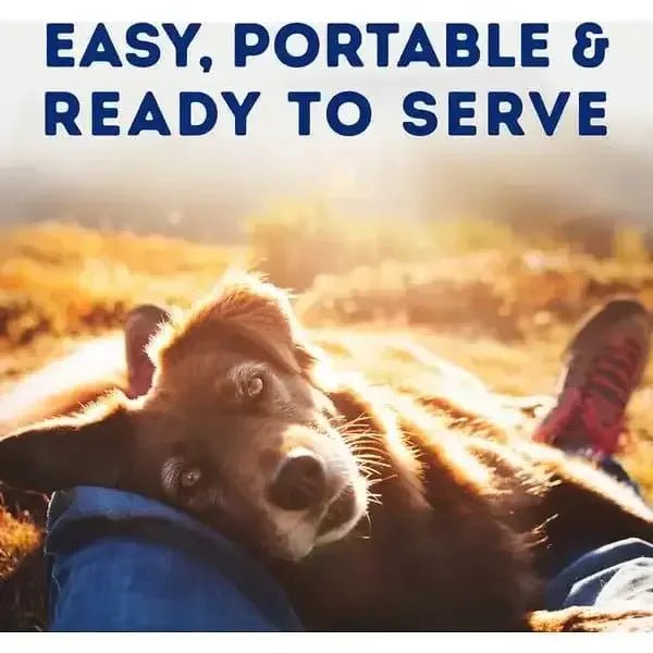 Natural Balance Pet Foods Platefulls Wet Dog Food 12ea/9 oz - Talis Us
