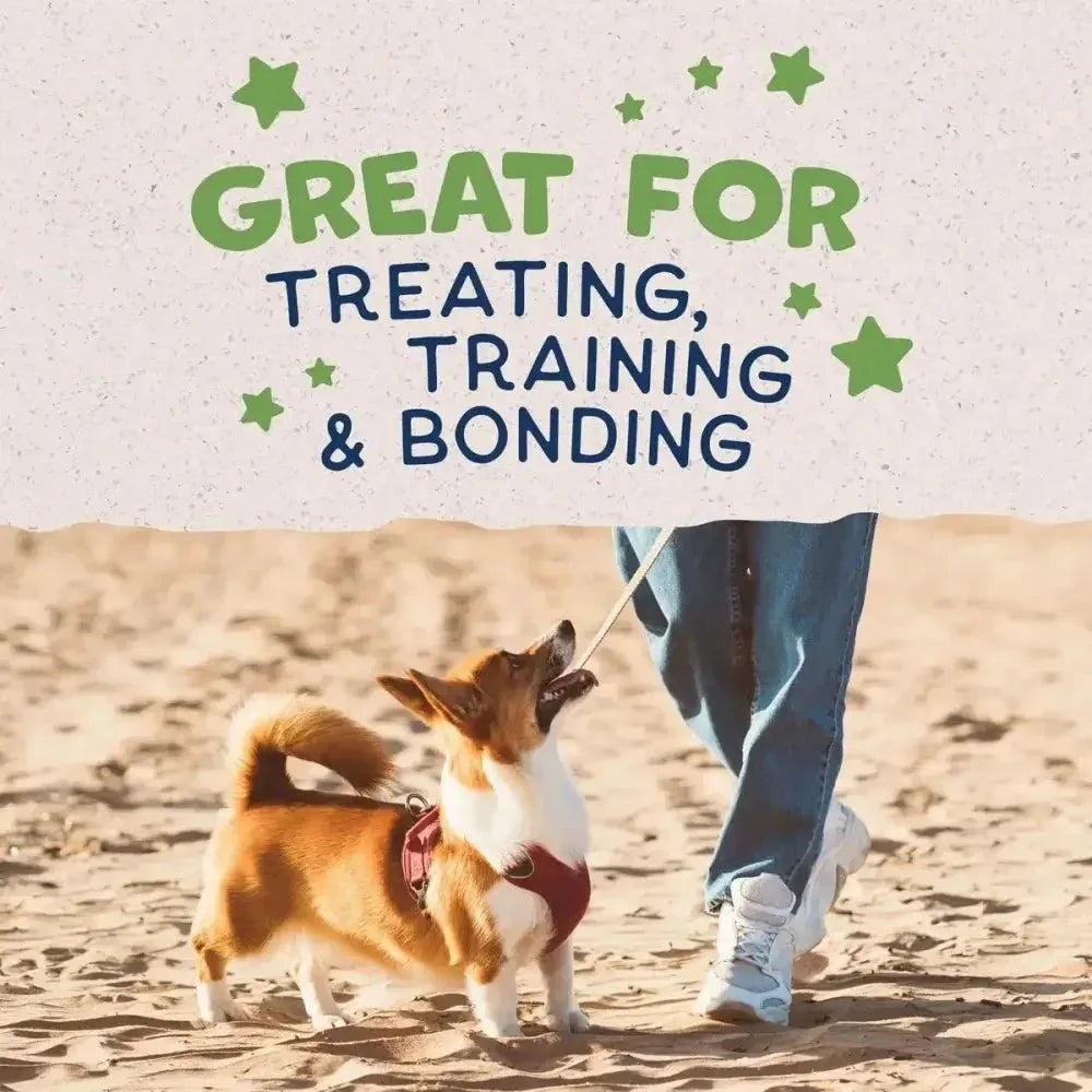 Natural Balance Pet Foods Rewards Crunchy Biscuits Dog Treats - Talis Us