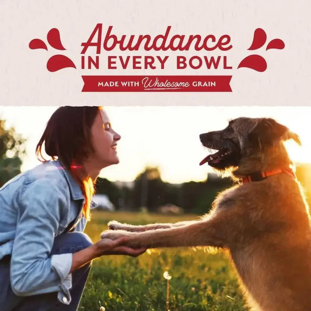 Natural Balance Pet Foods Ultra Premium Beef Wet Dog Food 12ea/13 oz - Talis Us