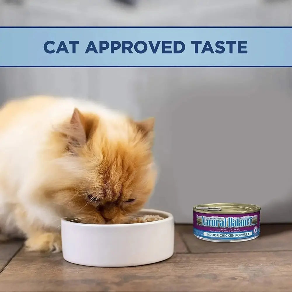 Natural Balance Pet Foods Ultra Premium Chicken Indoor Wet Cat Food 24ea/5.5 oz - Talis Us