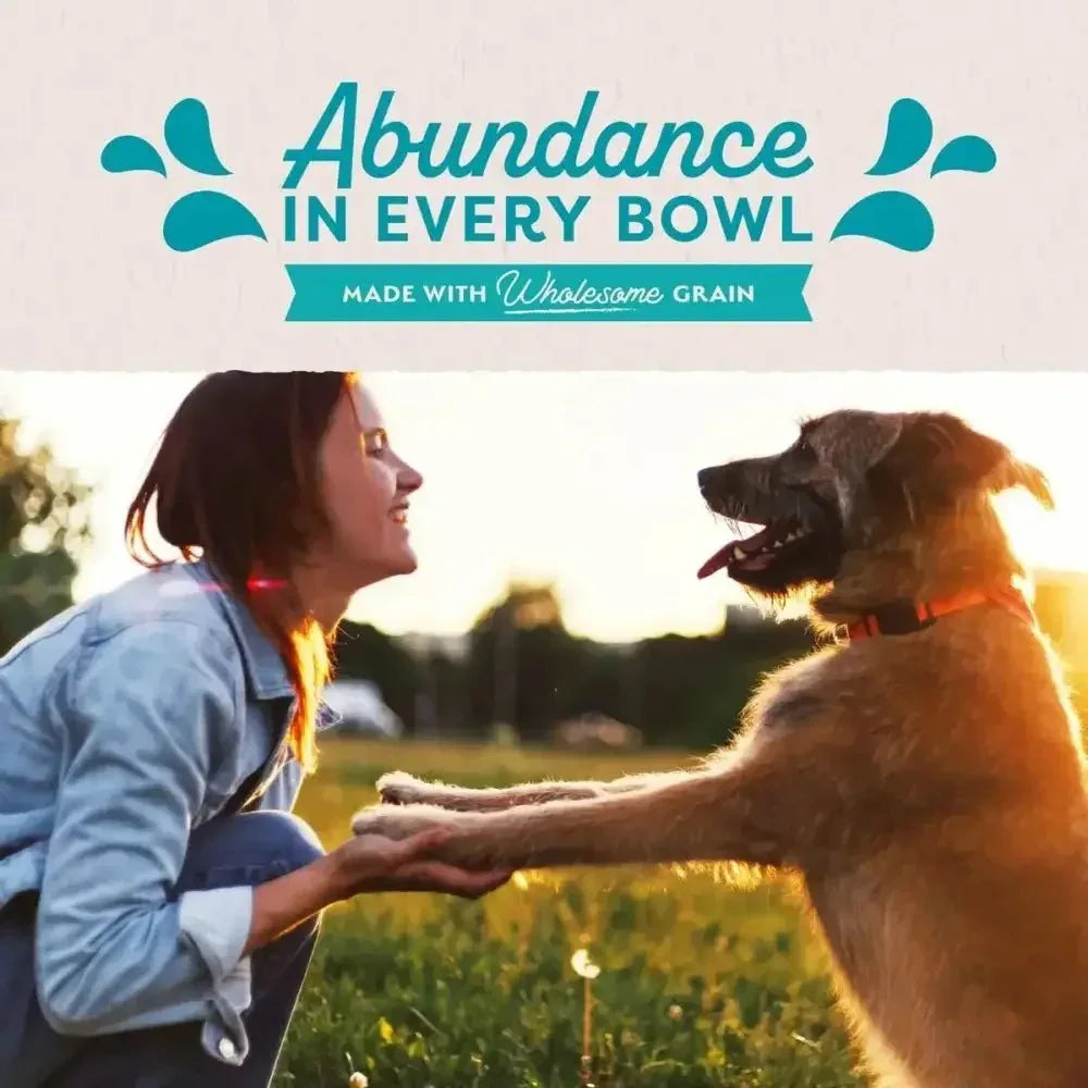 Natural Balance Pet Foods Ultra Premium Chicken Wet Dog Food 12ea/13 oz - Talis Us