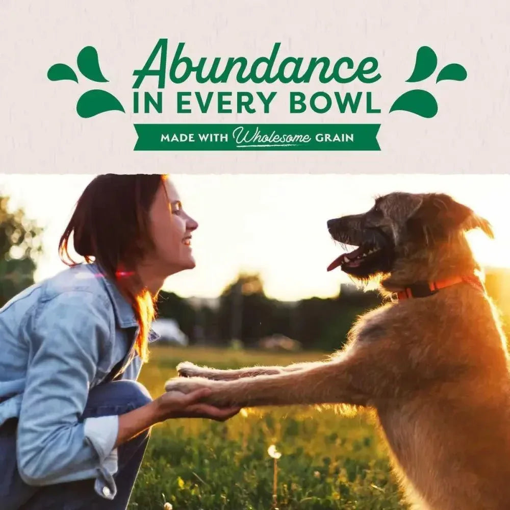 Natural Balance Pet Foods Ultra Premium Lamb Wet Dog Food 12ea/13 oz - Talis Us