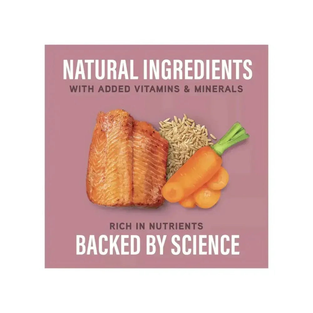 Natural Balance Specialized Nutrition Sensitive Skin & Stomach Formula Adult Salmon & Brown Rice Wet Dog Food - Talis Us