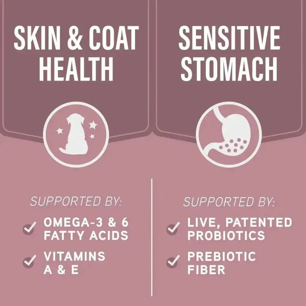 Natural Balance Specialized Nutrition Sensitive Skin & Stomach Salmon & Oatmeal Dry Dog Food - Talis Us