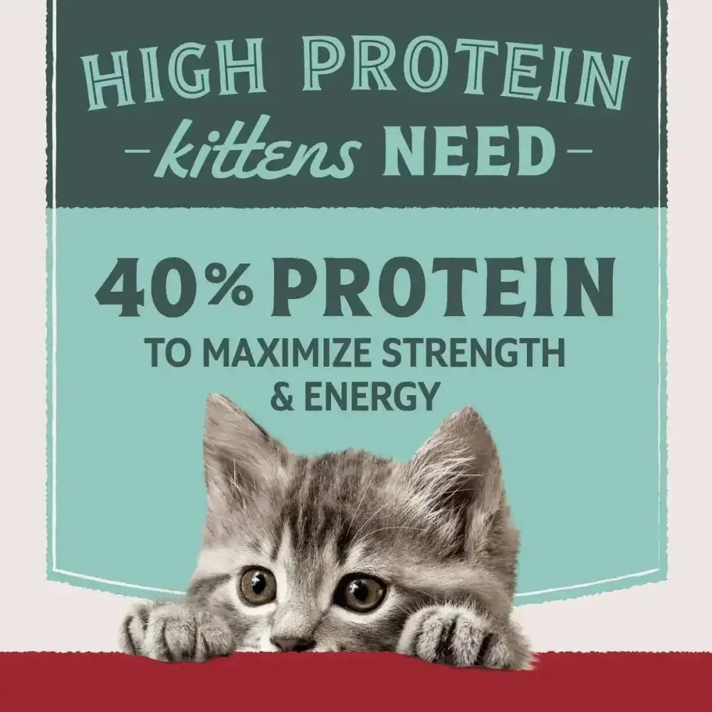 Natural Balance Ultra Protein Chicken Meal Recipe Dry Cat Food - Talis Us